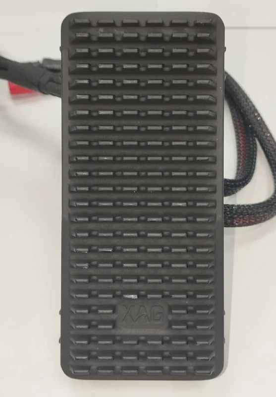 ESC P40